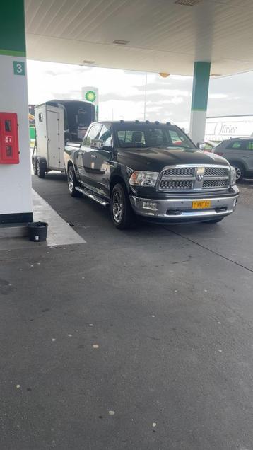 Paarden transport aangeboden beschikbaar voor biedingen