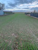 Bouwgrond open bebouwing Oplinter/Tienen, Immo, Gronden en Bouwgronden, Tienen, Verkoop zonder makelaar, 500 tot 1000 m²