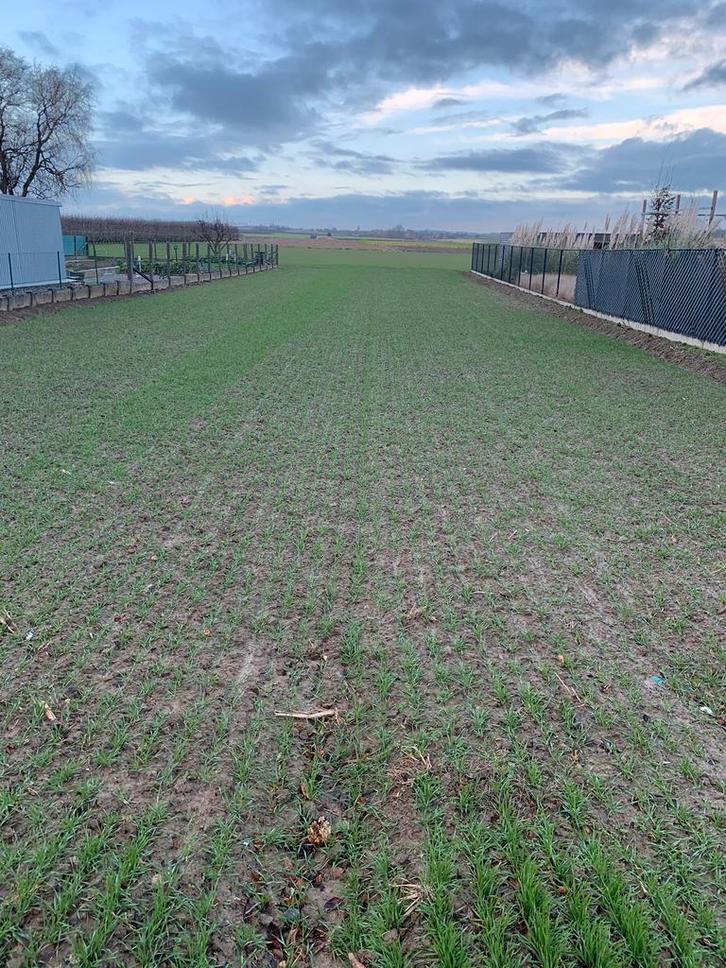 Bouwgrond open bebouwing Oplinter/Tienen, Immo, Gronden en Bouwgronden, 500 tot 1000 m², Verkoop zonder makelaar