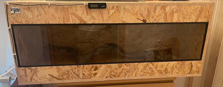 Terrarium OSB 120/50/50, Dieren en Toebehoren, Reptielen en Amfibieën | Toebehoren, Gebruikt, Terrarium of Paludarium, Ophalen