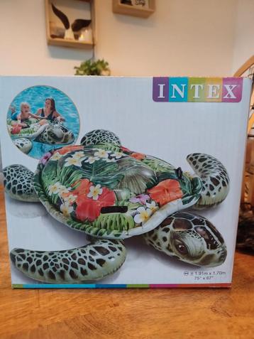 Intex schildpad