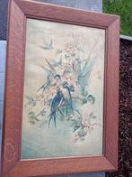 mooi oud schilderij  met zwaluwen 40 x 58 cm, Antiek en Kunst, Ophalen