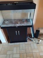 Aquarium 120 liter, Dieren en Toebehoren, Ophalen, Gebruikt, Leeg aquarium