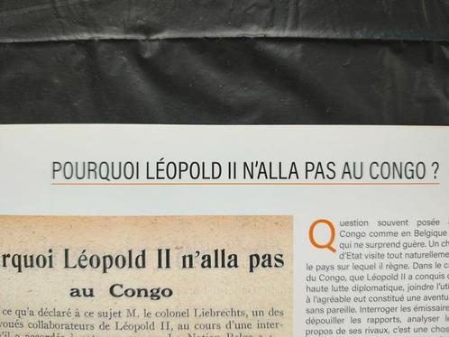 Waarom koning Leopold II nooit in Congo is geweest 2 recensi, Boeken, Geschiedenis | Nationaal, Gelezen, Ophalen of Verzenden