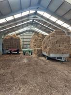 hooi en stro 2025, Dieren en Toebehoren, Ophalen of Verzenden