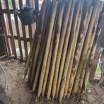 Paal 76stuk, Ophalen, Nieuw, Minder dan 180 cm, Palen