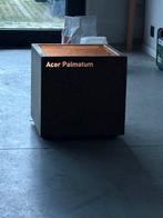 Bac à fleurs Acer palmatum en acier corten, Jardin & Terrasse, Pots de fleurs, Neuf, 40 à 70 cm, Enlèvement ou Envoi, 25 à 40 cm