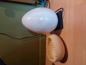 Bedlampje met ei beschikbaar voor biedingen