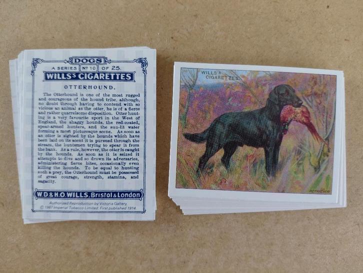 Dogs complete set 25 chromos honden REPRO 1987, Verzamelen, Foto's en Prenten, Prent, Dier, 1980 tot heden, Ophalen of Verzenden