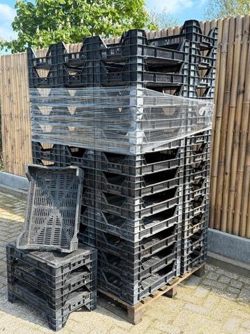 Veeman kisten laag 40 x 60 beschikbaar voor biedingen