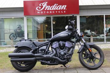 Indian Chief Dark horse beschikbaar voor biedingen