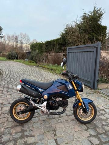 Honda MSX 125cc (Sold / Verkocht) beschikbaar voor biedingen