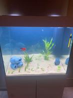 Juwel lido 200, Dieren en Toebehoren, Ophalen, Gebruikt
