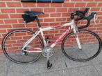 Dames koersfiets zannata, Sport en Fitness, Wielrennen, Ophalen