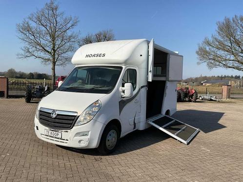 2010 Vauxhall Movano 2.3 CDTI Paardentrailer, Dieren en Toebehoren, Paarden en Pony's | Trailers en Aanhangwagens, Gebruikt, Overige typen