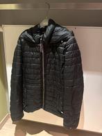 Tommy Hilfiger jas met kap. Maat M, Kleding | Dames, Jassen | Winter, Maat 38/40 (M), Tommy hilfiger, Zwart, Ophalen of Verzenden