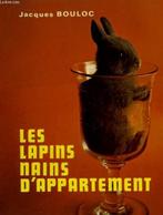 Livre sur les lapins nains, Animaux & Accessoires, Enlèvement, Neuf, Autres types