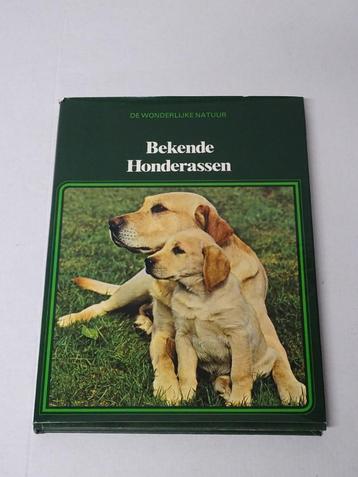 De wonderlijke natuur – Bekende honderassen beschikbaar voor biedingen