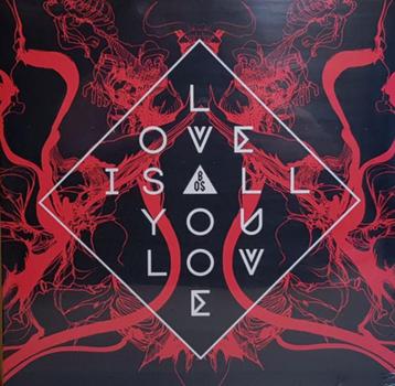 vinyl :  BAND OF SKULLS - LOVE IS ALL YOU LOVE  (als nieuw) beschikbaar voor biedingen