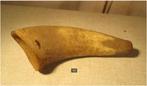 Mooie Antieke Hoorn - 25cm, Ophalen of Verzenden