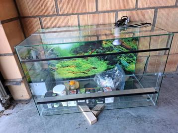 Terrarium in nieuwe staat  beschikbaar voor biedingen