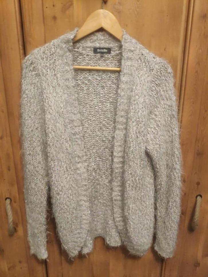 Beige trui glitter Bel&Bo Large, Kleding | Dames, Truien en Vesten, Zo goed als nieuw, Beige, Ophalen of Verzenden