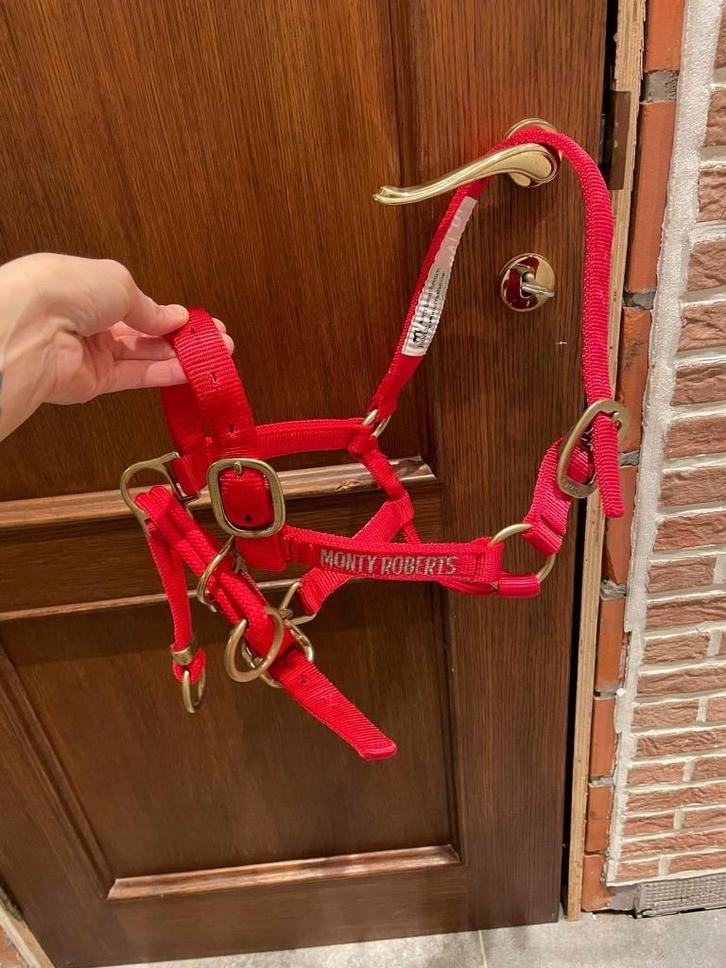 Monty Roberts Dually Halster - Rood, Dieren en Toebehoren, Paarden en Pony's | Hoofdstellen en Tuigage, Zo goed als nieuw, Ophalen