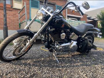 Harley Davidson Softail Custom 105th Anniversary beschikbaar voor biedingen