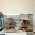 Hamsterkooi, Dieren en Toebehoren, Ophalen