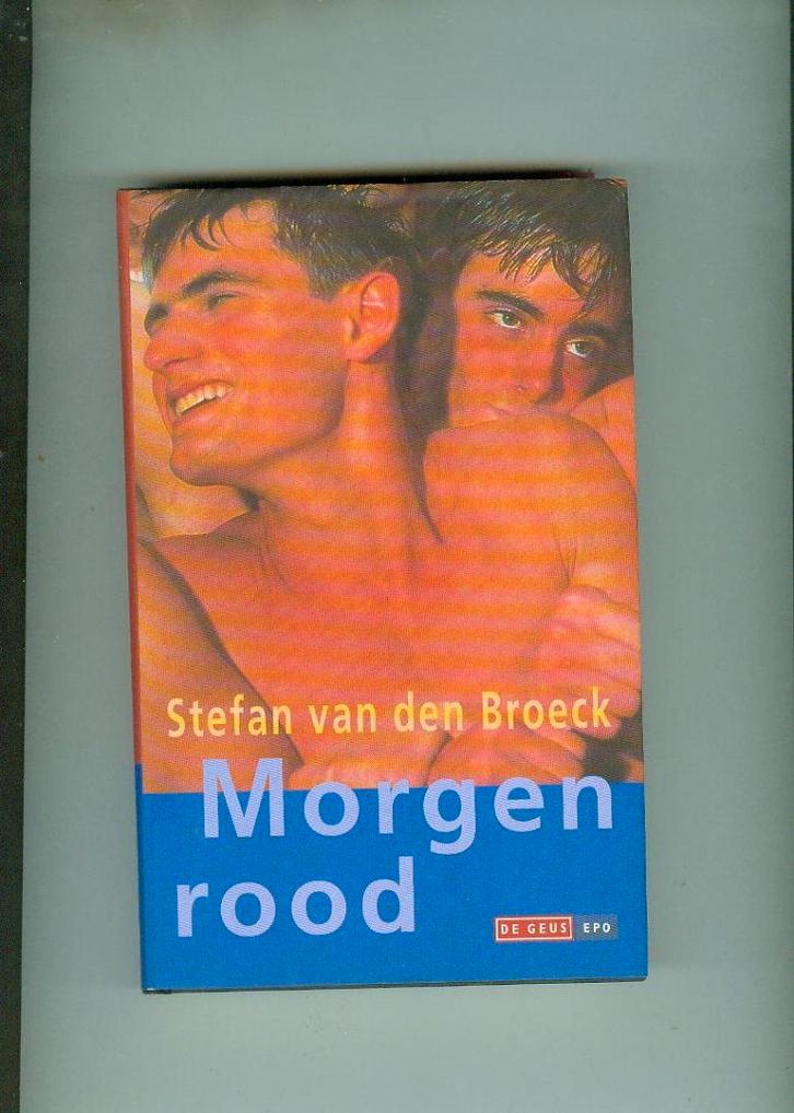 Morgenrood filmeditie stephenie meyer 603 blz, Boeken, Romans, Zo goed als nieuw, Ophalen of Verzenden