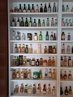Collectie miniatuurstad 210 flesjes inclusief kasten, Verzamelen, Ophalen