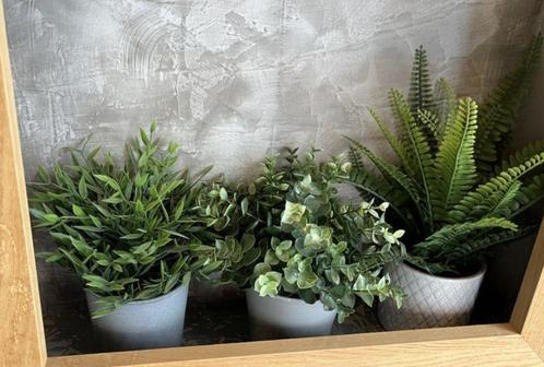 Diverse bloempotjes met sierplanten, Tuin en Terras, Bloempotten, Nieuw, Aardewerk, Ophalen