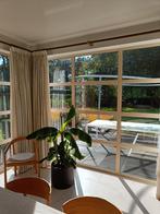 ramen, Double vitrage, 160 cm ou plus, 160 cm ou plus, Enlèvement