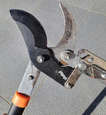 Boomschaar voor dikke takken. beschikbaar voor biedingen