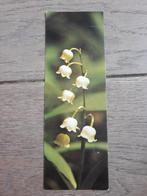 Tentoonstelling 'herbarium - J. Van den Haute' 1979, Deinze, Ophalen of Verzenden