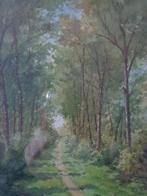 leuke aquarel landschap met een dreef in het bos, Antiek en Kunst, Ophalen of Verzenden