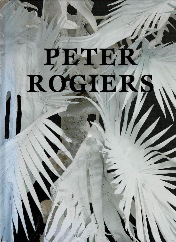 Peter Rogiers - Cultuurcentrum Mechelen, 2008, Boeken, Kunst en Cultuur | Beeldend, Gelezen, Ophalen of Verzenden