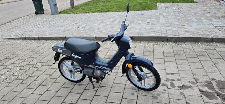 Honda Wallaroo 25cc En bonne etat, Vélos & Vélomoteurs, Pièces de cyclomoteur | Général, Utilisé, Capot, Enlèvement
