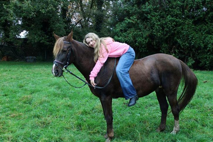 Allround d pony te koop, Dieren en Toebehoren, Pony's, Ruin, D pony (1.37m tot 1.48m), 7 tot 10 jaar