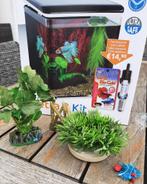 Aquarium Betta 8 kit, Dieren en Toebehoren, Ophalen, Nieuw, Leeg aquarium