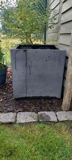 grote plantenbak van 60 60 op 60, Ophalen, Gebruikt