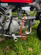 Daytona 190cc anima 4klepper fdx, Fietsen en Brommers, Ophalen, Zo goed als nieuw