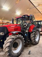 Case puma cvx 220, 5000 à 7500, Case IH, Enlèvement, Utilisé