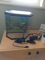 Aquarium, Dieren en Toebehoren, Vissen | Aquaria en Toebehoren, Ophalen, Gebruikt, Leeg aquarium