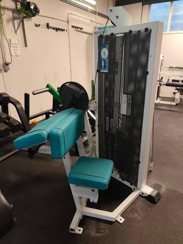 Bicep machine  beschikbaar voor biedingen