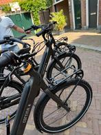 - Cortina E-Common Family Integrated 2025 - Maat 57, Fietsen en Brommers, Elektrische fietsen, Ophalen, Nieuw, Cortina, 50 km per accu of meer