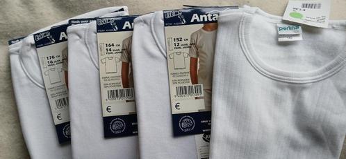 Warm hemdje 140cm, 152, 164, 176cm, Kinderen en Baby's, Kinderkleding | Maat 140, Nieuw, Jongen of Meisje, Nacht- of Onderkleding