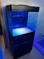 Red Sea max 130, Dieren en Toebehoren, Vissen | Aquaria en Toebehoren, Ophalen, Gebruikt, Leeg aquarium