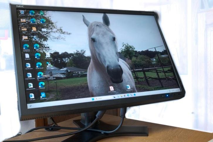 Pc scherm MultiSync LCD, Computers en Software, Monitoren, Gebruikt, DVI, In hoogte verstelbaar, Ophalen of Verzenden