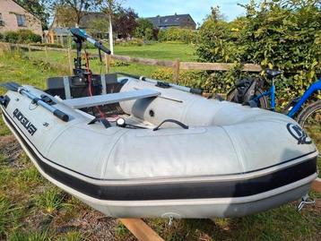 Zodiac met aluminium vloer beschikbaar voor biedingen